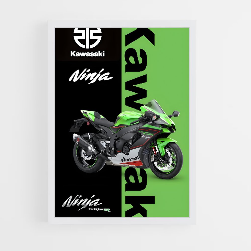 Poster Ninja Vitesse (vue 3)